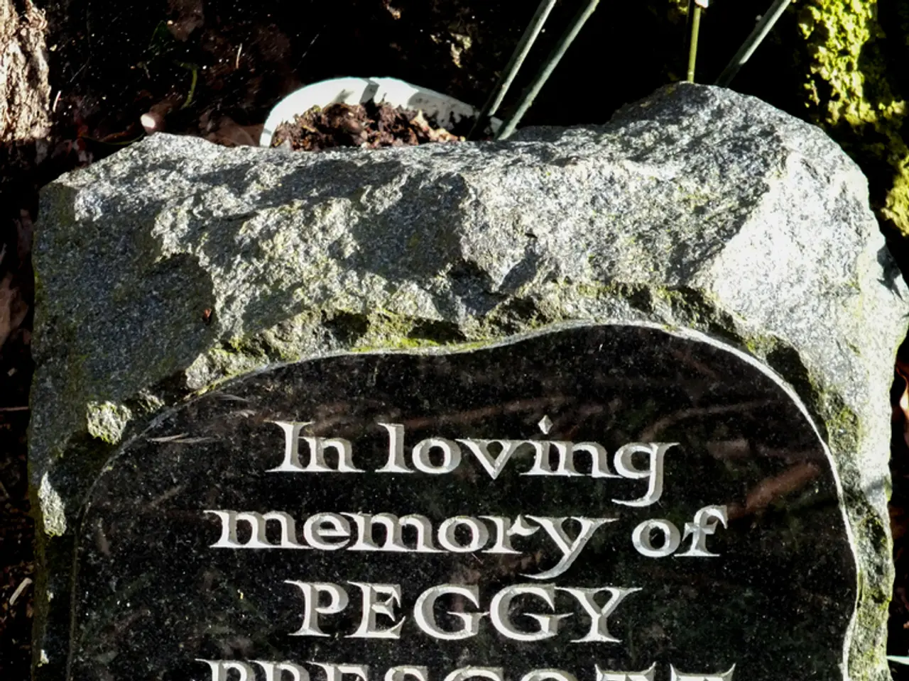 Exploring Organics with Maggie Campbell Pedersen FGA ABIPP: A Deep Dive into the World of Gem...