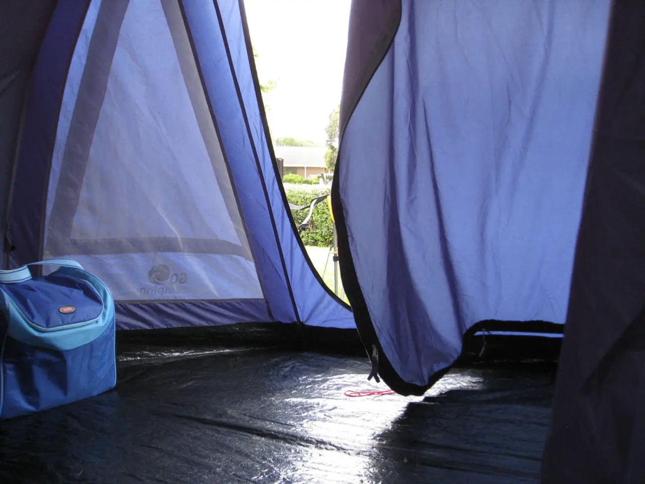 Essential Tips for Traveling with Toddlers on Airplanes (Top 10)