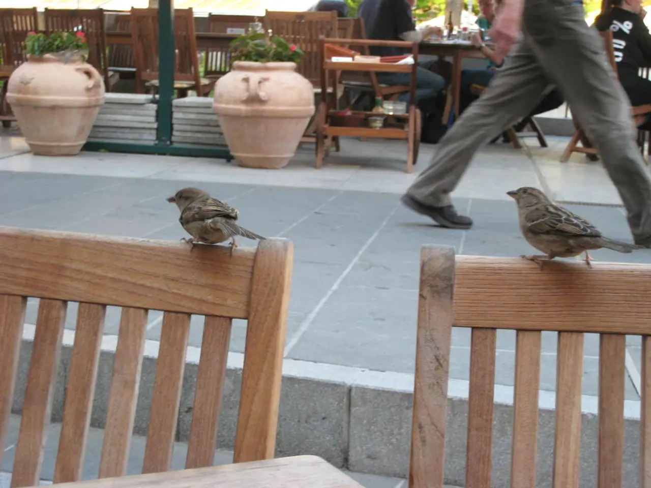 Strategies for Maintaining Wellness During Journeys: Advice on Dietary Habits and Physical...