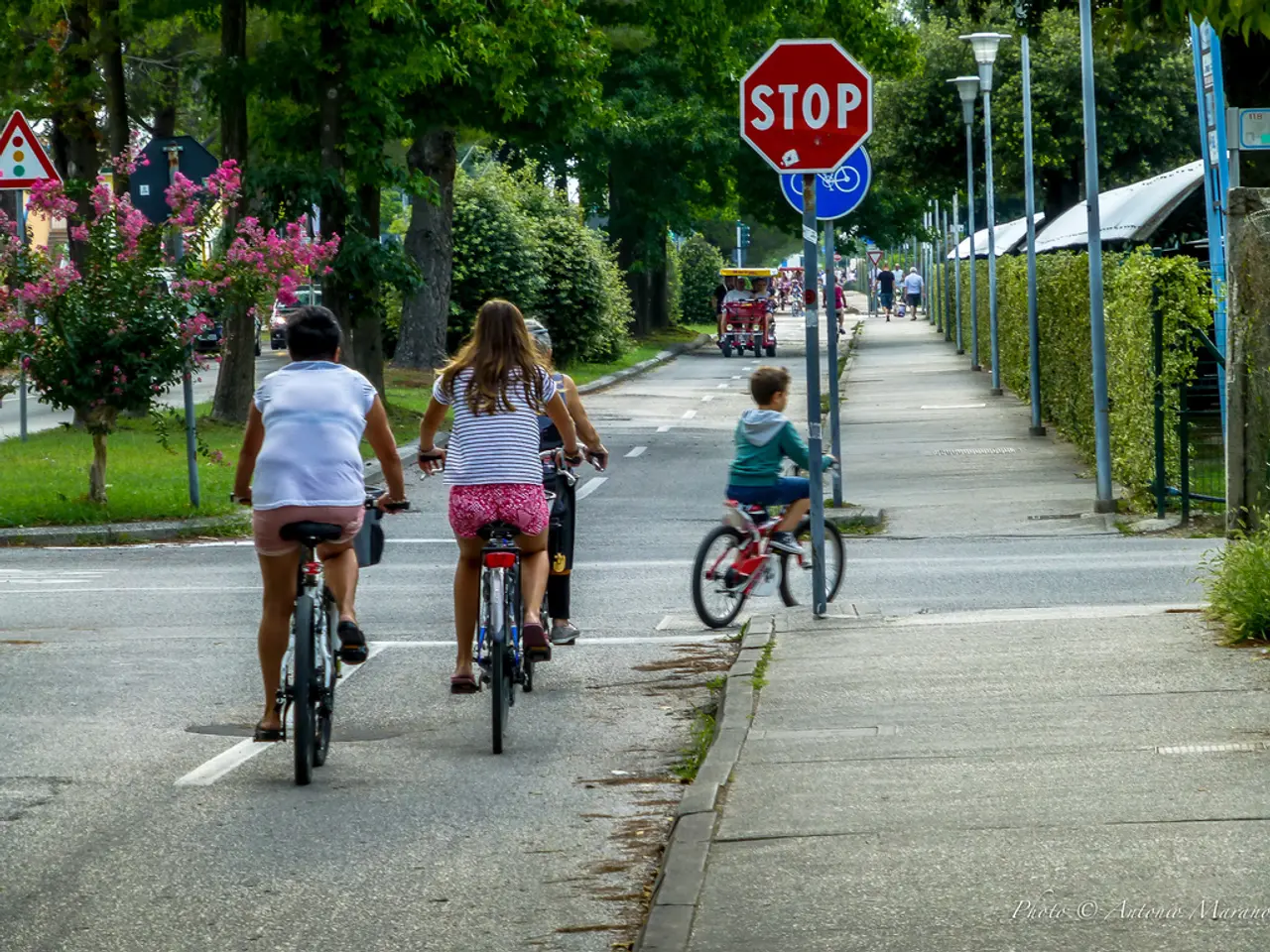 Public transportation in San Francisco takes a turn with the introduction of mind-bending...