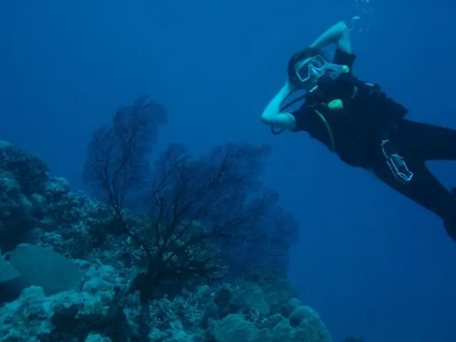 Top-Ranked Snorkeling and Scuba Diving Locations in Corfu Island