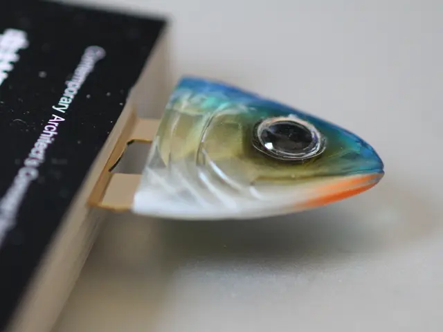 Fun and Simple DIY Fish Crafts for Children - Stimulating DIY Fish Projects