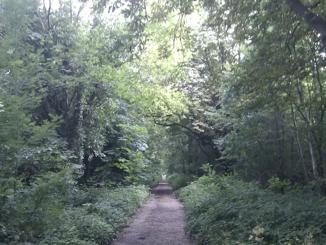 Actively Engage Instead of Overlooking or Neglecting