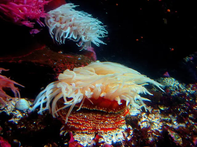 Hidden Gem Caribbean Island, Dubbed 'The Pure Queen', Showcases Earthly Perfection