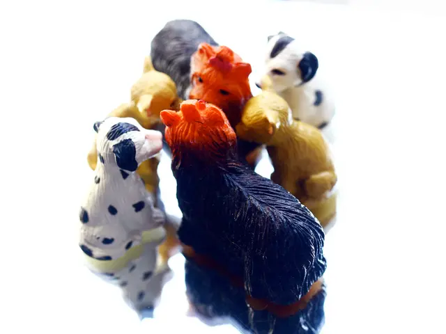 Unique Toys for a Customized Home Decoration