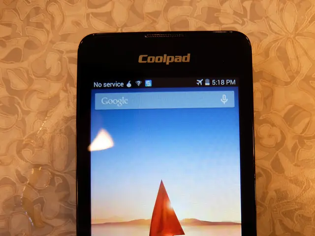 Ferry Service Launched: Insights from our Web Reporter, Vanessa Siemers