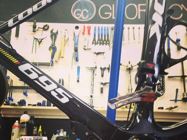 Bicycle Term Translations from English to Polish