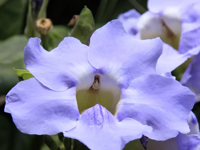 World Biodiversity Day: Small Actions for Preserving the Natural World