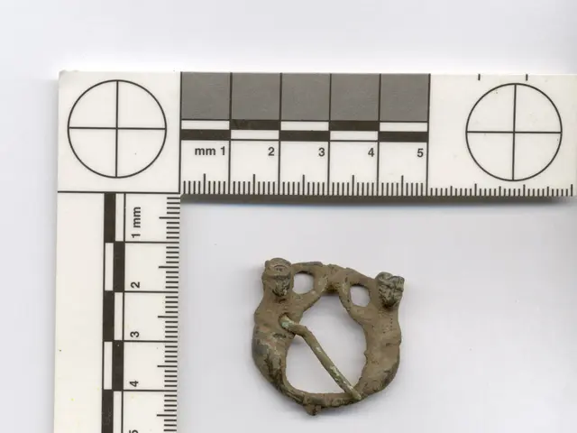 Determine the value of your beloved timepiece.