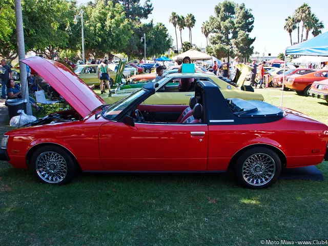 Camping Gear from Costco Creating a Stir on Social Media, Proving to Be a Notable Enhancement