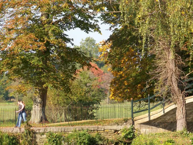 Reinforcing Family Ties through 5 Outdoor Adventures that Promote Emotional Growth and Bonding