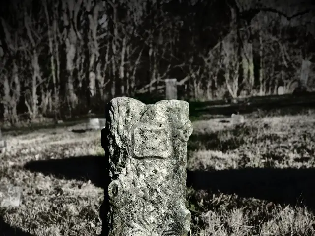 Explore Petrified Forest National Park - Nature's Stone-Cold Wonders Await!