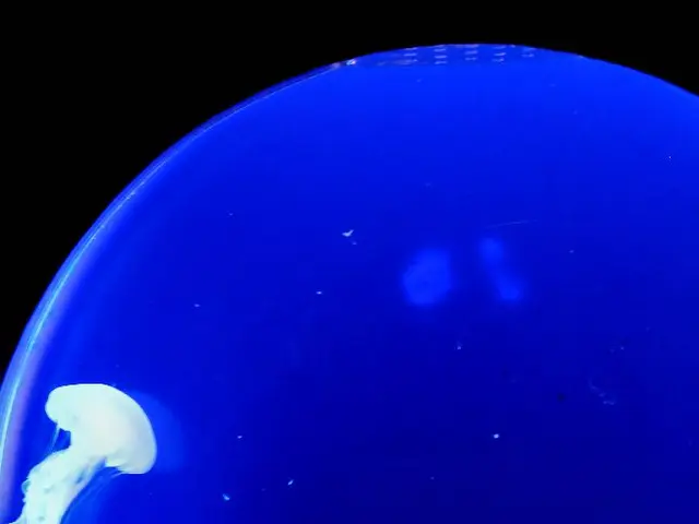 Exploration of Findings