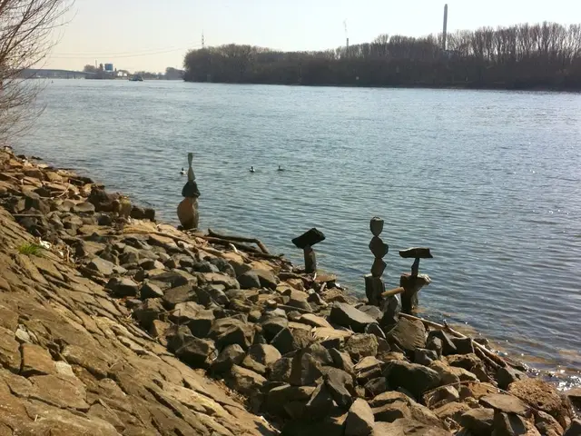 Interpretation of Nocturnal Imagery