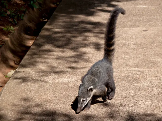 Symptoms including abdominal discomfort, diarrhea, and feelings of sickness in the stomach