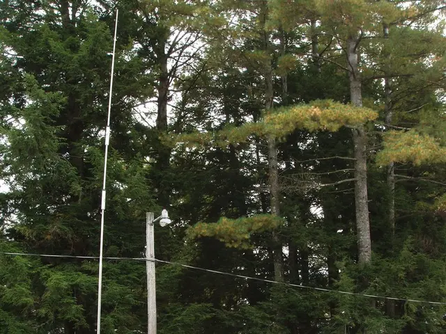 Navigating a Caravan During Winter: A Guide for All-Season Traveling