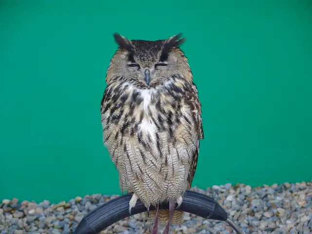 Interpreting the Symbolism Behind Your Night-time Visions