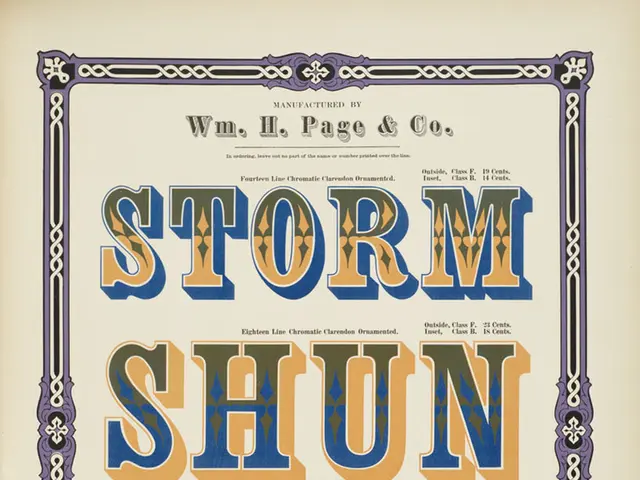 Your Personal Brand Tale: The Narrative Behind Your Design Vision