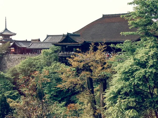 Transient Allure of Bonsai: Appreciating Ephemeral Elegance and Artistry