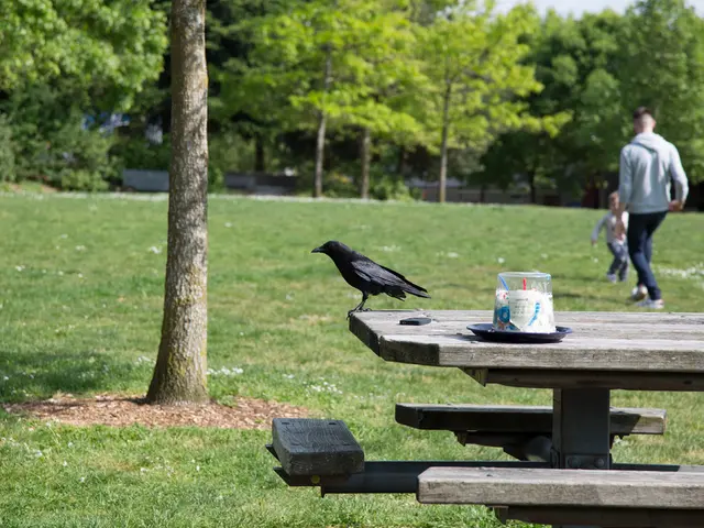 Math Adventures in the Great Outdoors: Inspiring Ideas for All Ages That Fuel Curiosity