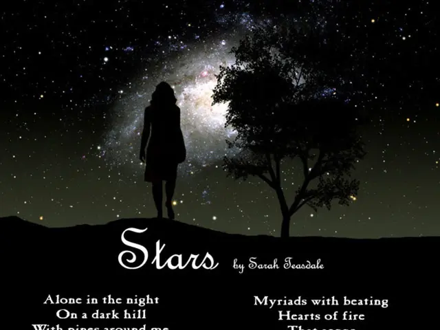 Explanation of Poetry's Functioning Mechanisms