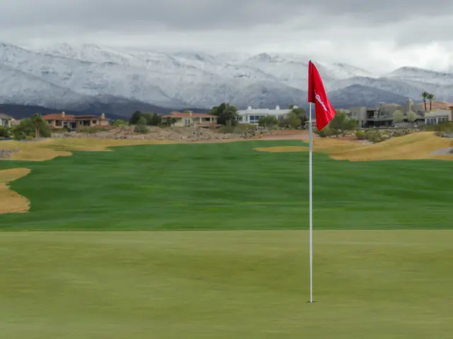 Jordanian Airline Revives Elite Status Match for Royal Club Membership