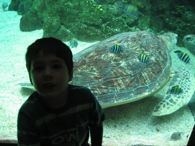 Family Outing to Lecce: Visit Aquarium and Beach in Santa Maria al Bagno with Children