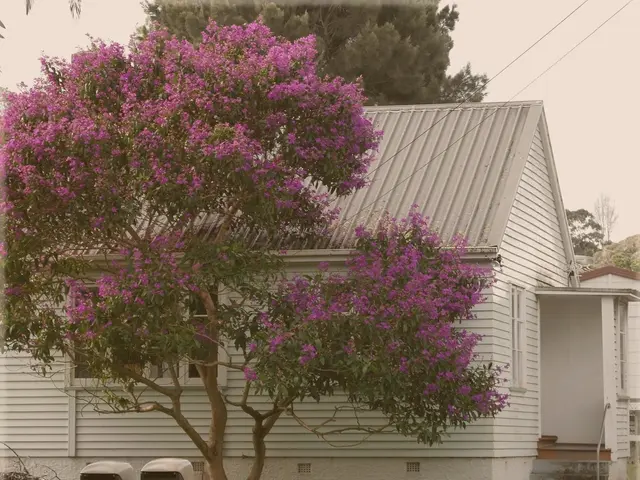 Interactive Math Activities for Every Age Group, Fostering Awe Outside the Classroom