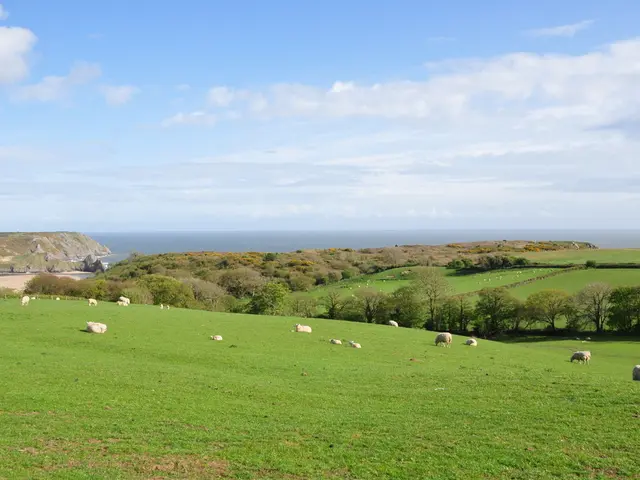Livestock event showcases shepherds' skills and their woolly companions in Thuringia