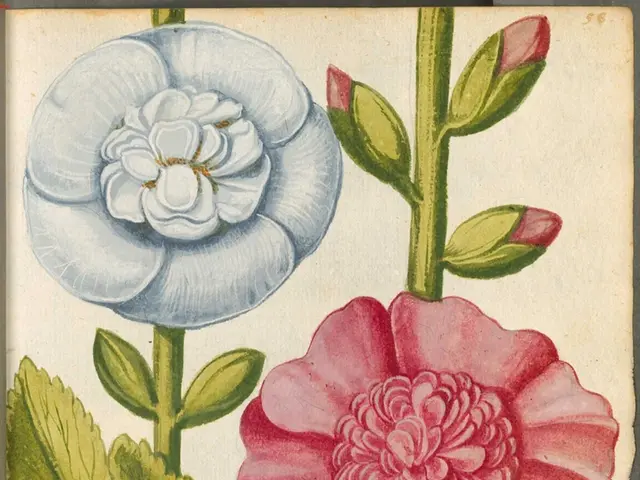 Palma pays tribute to Joan Miró with a grand showcase