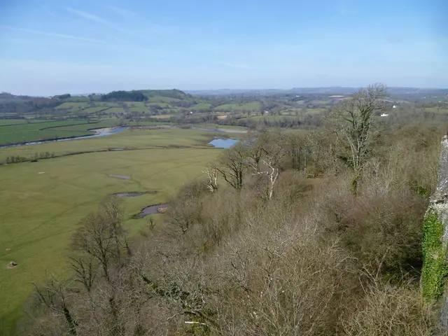 Harsh Lake Natron Thrives Only for Resilient Lesser Flamingos