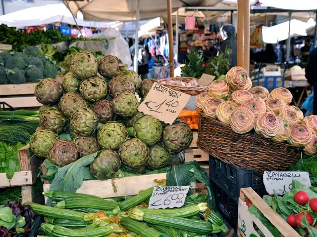 Outing Concluding on 7-27-25: Outdoor Adventure with Three Youngsters!