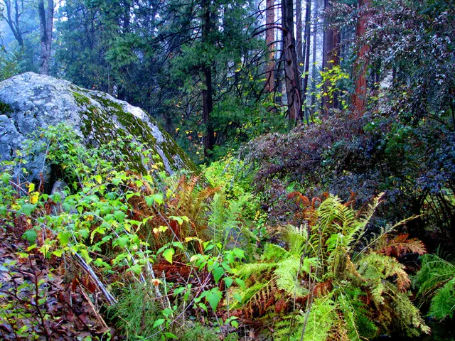 A Must-See Tourist Attraction in Tamil Nadu: The Enigma of Krishna's Butterball in Mahabalipuram