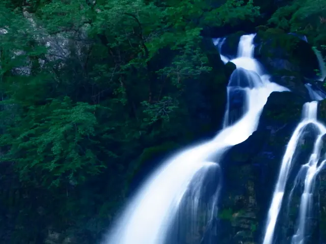 Tropical North Queensland, home to iconic Cairns.