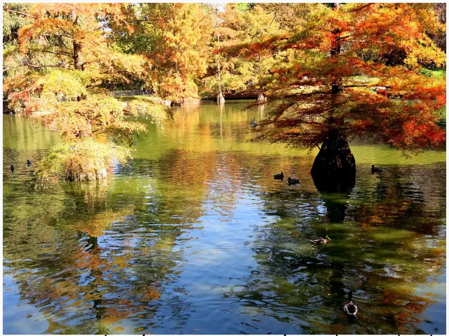 Natron Lake's Extremely Harsh Conditions Are Survivable for Lesser Flamingos