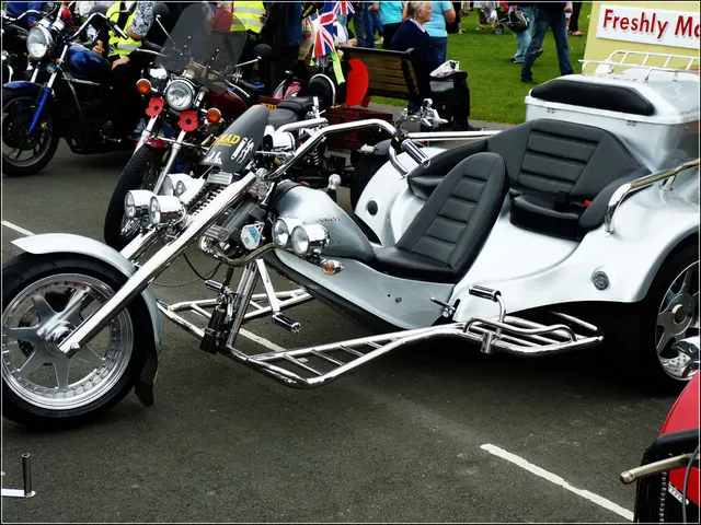 Cycling Siblings Navigate Nation's Length Without Lycra Attire