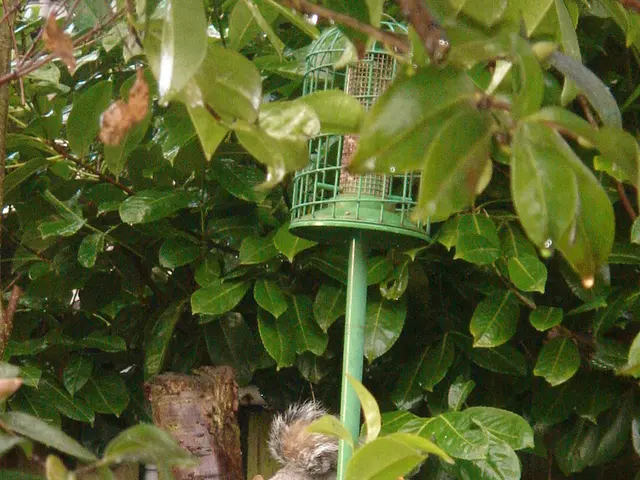 Zoo Hannover bid a finally permanent farewell to their former animal caretaker