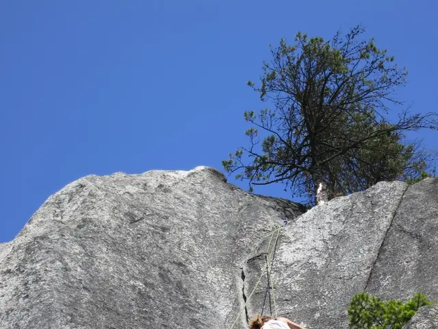 Tyrolean climbing course leaves Hamburg woman gravely wounded