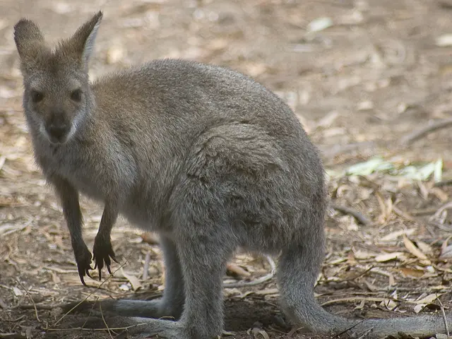 Top 10 Nature Workshops Offering Immersive Learning Opportunities to Inspire Awe Every Day