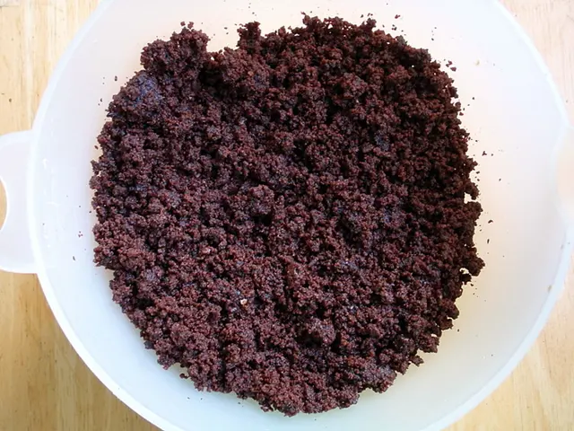 Colon Melanosis: Symptoms, Origins, Remedies, and Further Insights