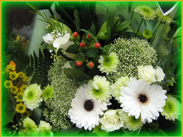 Blooms of Dahlias Show Their Wild, Sophisticated Nature and Are Strictly Limited to Certain Seasons