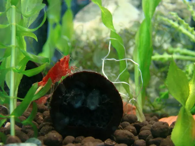 Thirty Timeless Nature Artworks for a Peaceful Daily Experience