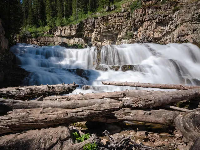 "California town close to Mount Shasta hailed as 'abode of the finest water on earth'"