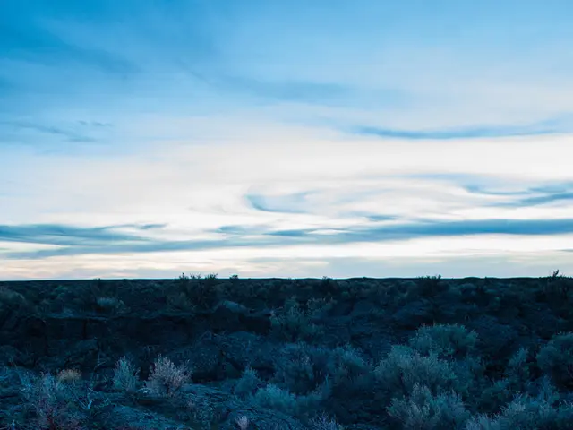 Inflammation of forest areas within recreational vacation spot