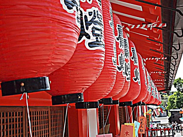 Celebratory Hashtags for Chinese New Year in 2025