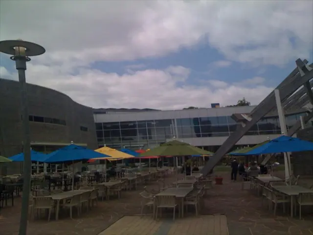 Top Picks for Beatifying the Summer's Scorching Temperatures