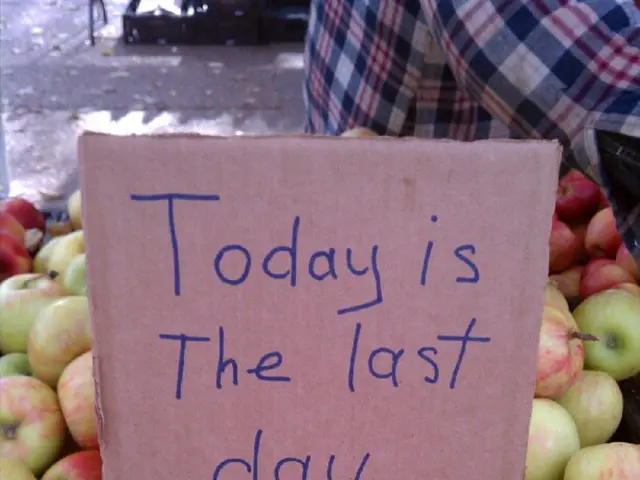 Number of extended holidays in the year 2025