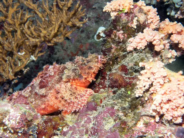 Discovering Japan's five enchanting, rarely visited coastal gems - Matsushima to Kabira