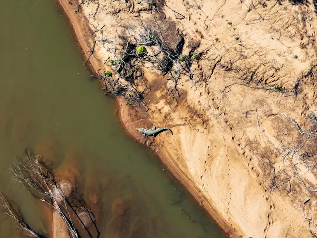 Search party of locals and police scouring distant Manitoba wilderness for missing Norwegian hiker