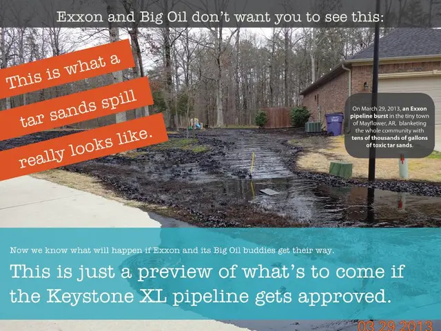 Efficient Living: 50 Strategies for a Greener and More Environmentally Conscious Lifestyle